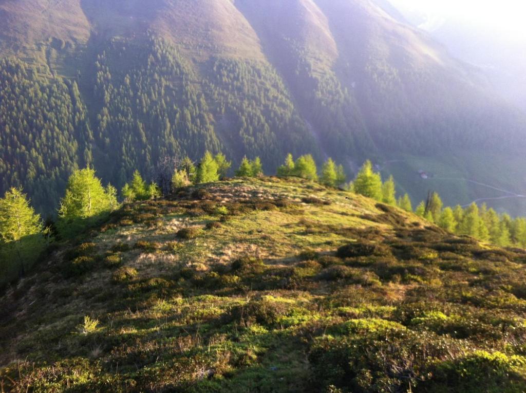 B&B Das Land-Palais - Private Mountain Hideaway セルヴァ・デイ・モリーニ エクステリア 写真